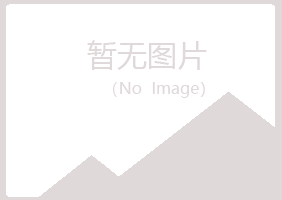 青岛黄岛残缺司机有限公司